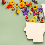 Inteligência emocional no trabalho: os 5 pilares e como desenvolver