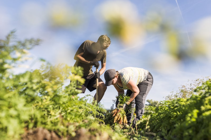 tipos de contrato de trabalho agricultores